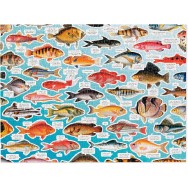Judgy Fish Puzzle 1000 bitar